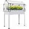 White Elevated Garden Box with Greenhouse Cover & Drainage Hole
